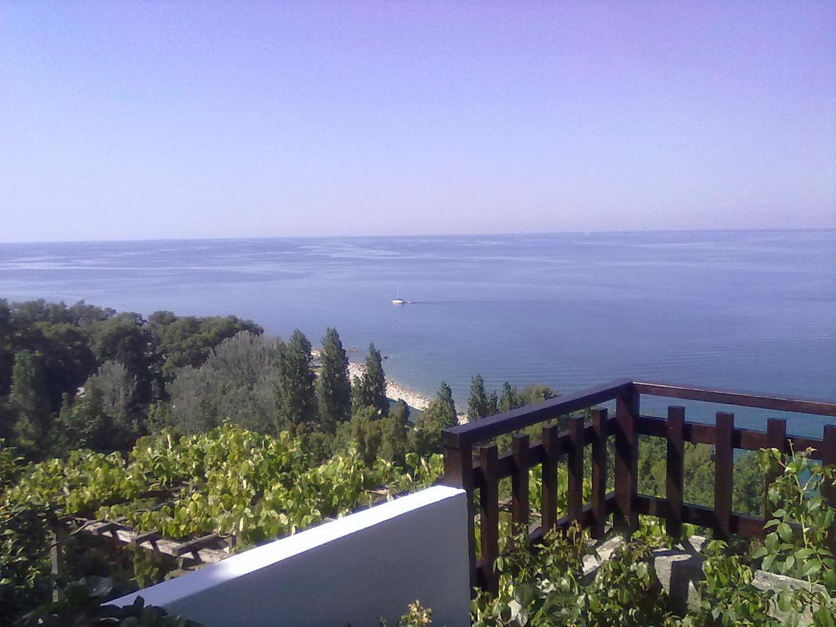 Апартаменты Pelion Orama Agios Ioannis  Экстерьер фото